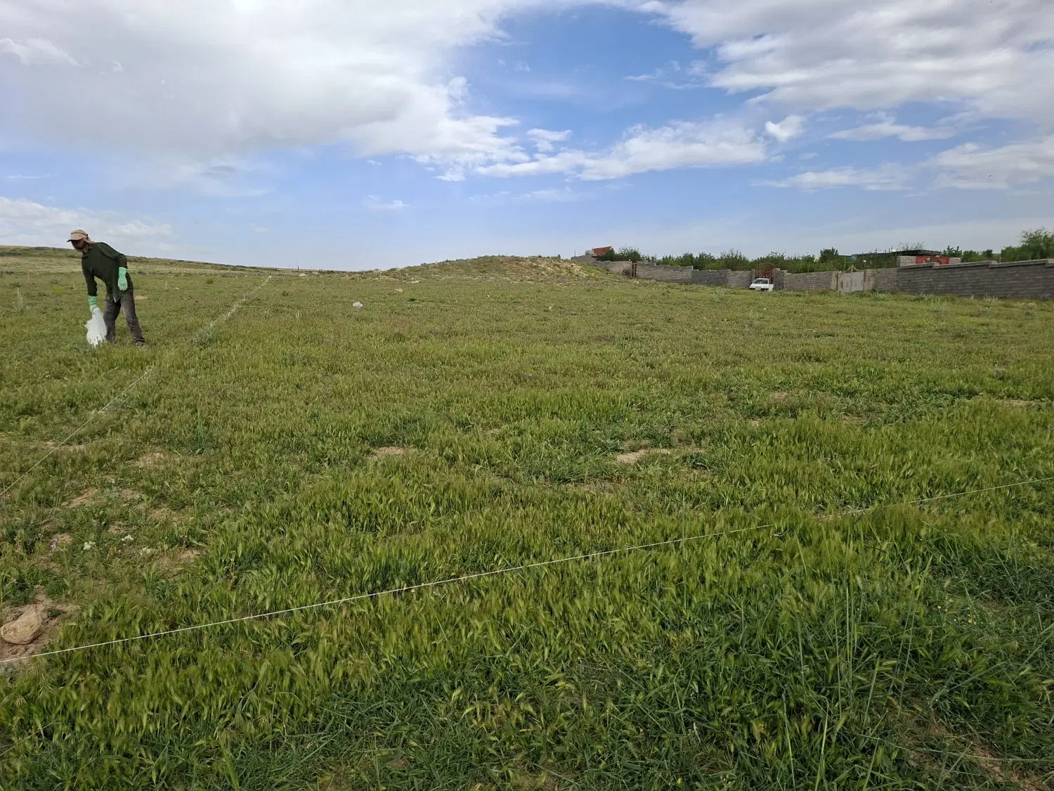 زمین باغچه خانه زنیان