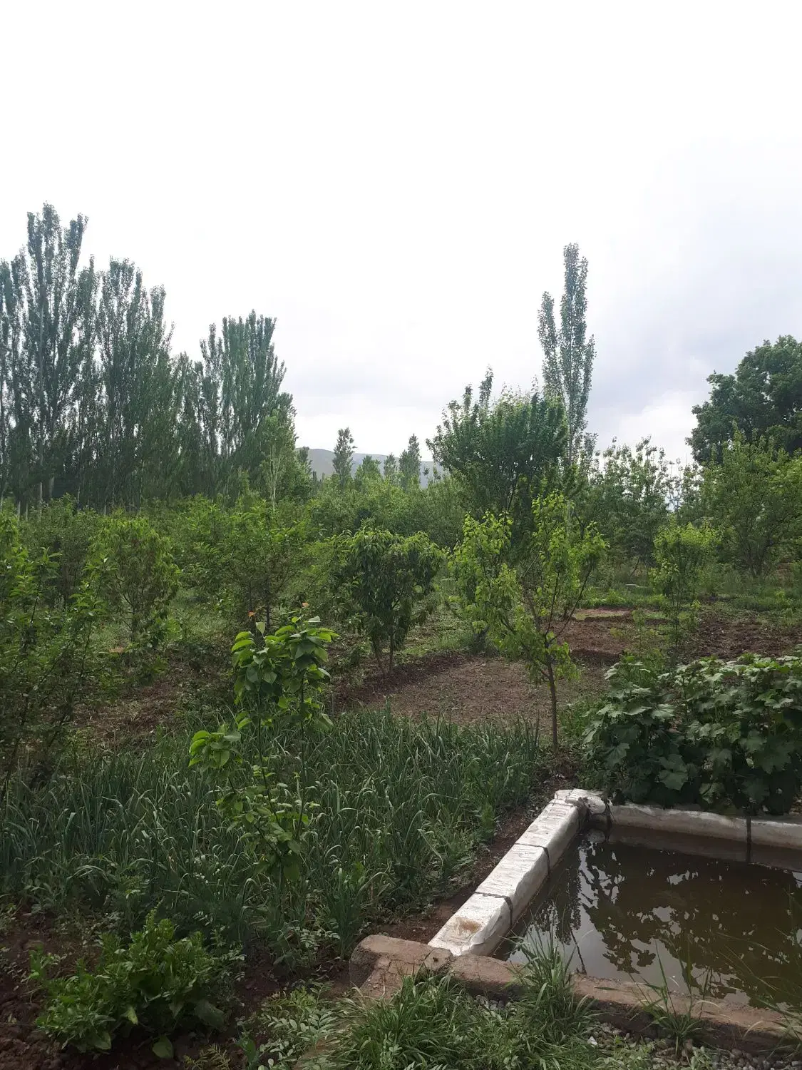 باغ و زمین زراعی