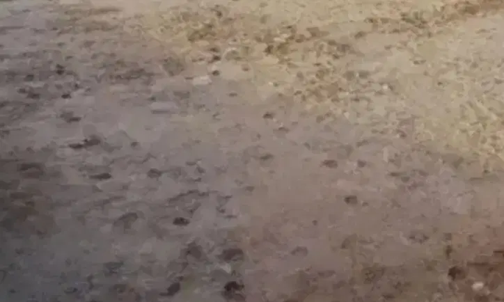 زمین مسکونی ۲۵۰متر خیابان پشت تاکسی سید نور