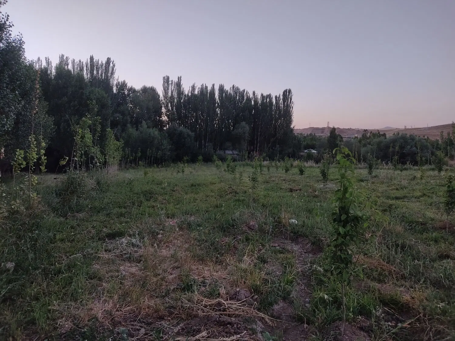 باغ میوه جاده ۲۴ بعثت