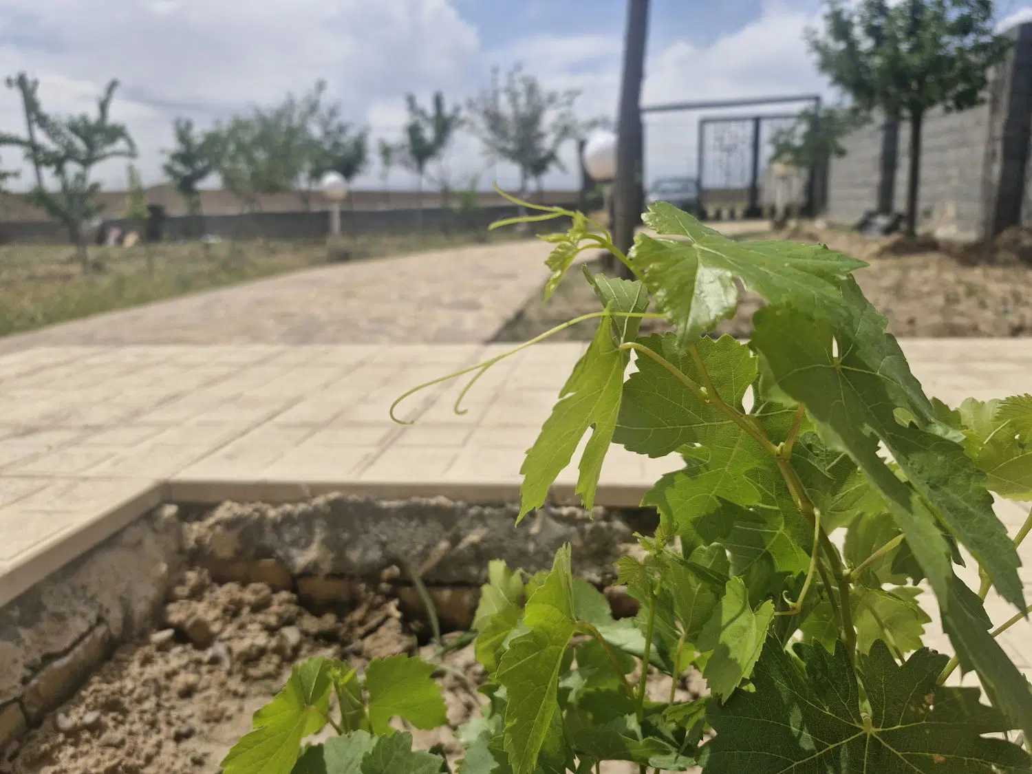 باغ ویلا، مجتمع میزان، شاهنامه ۸۰