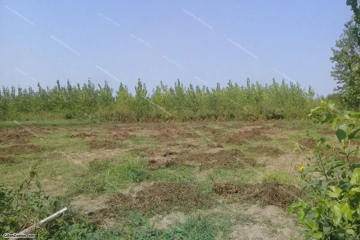 منزل نوساز ۴ خوابه ویلایی