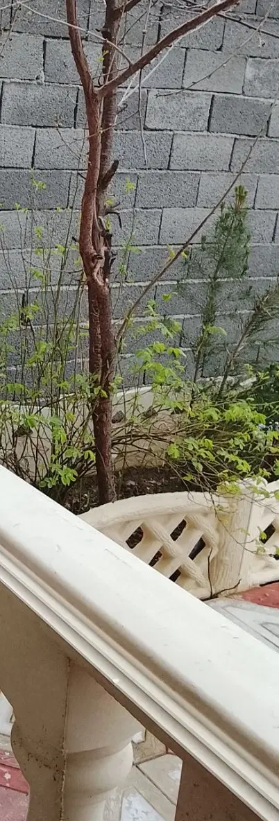 خونه کوچیک و مجردی برای اجاره