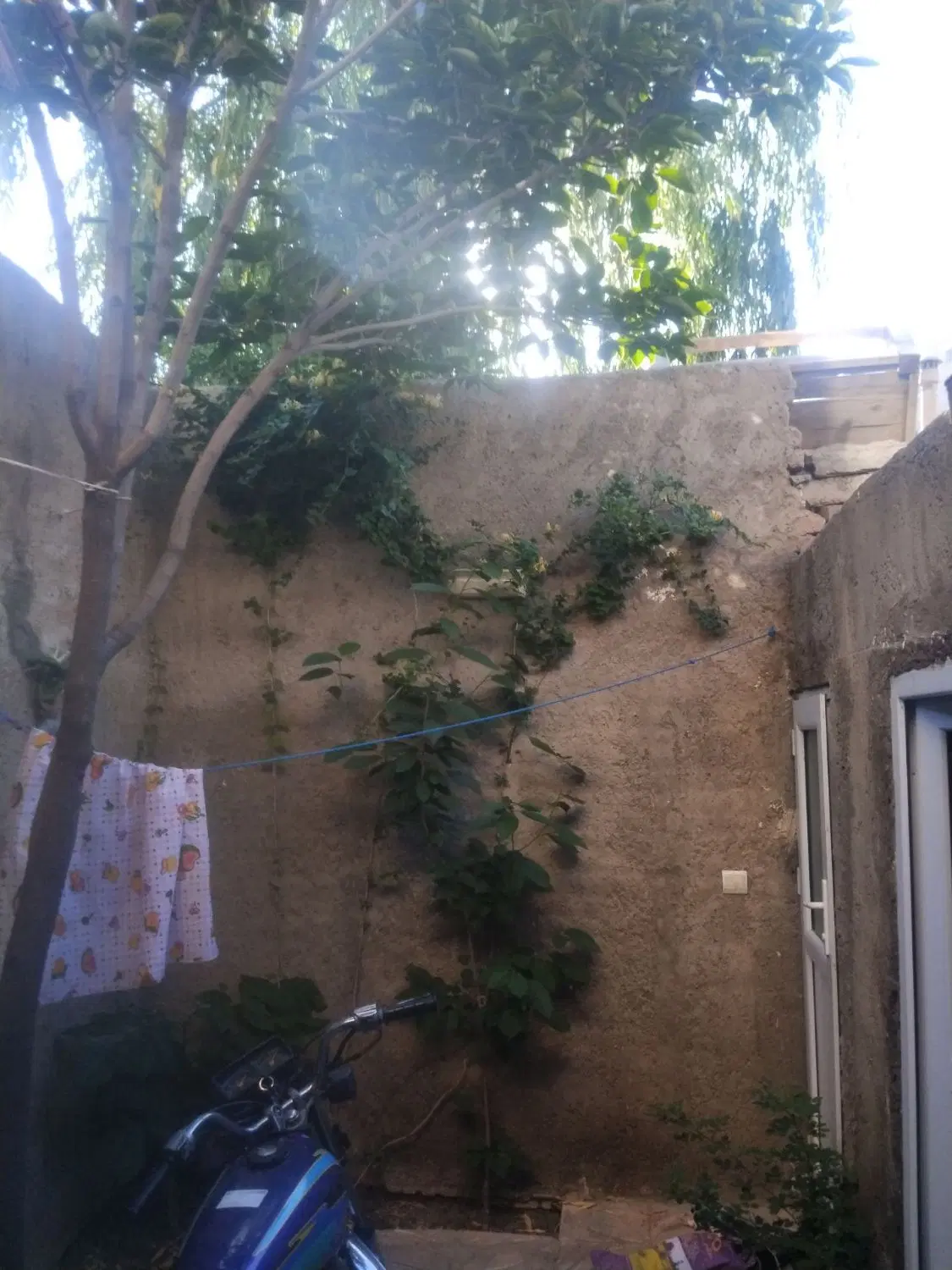 خونه