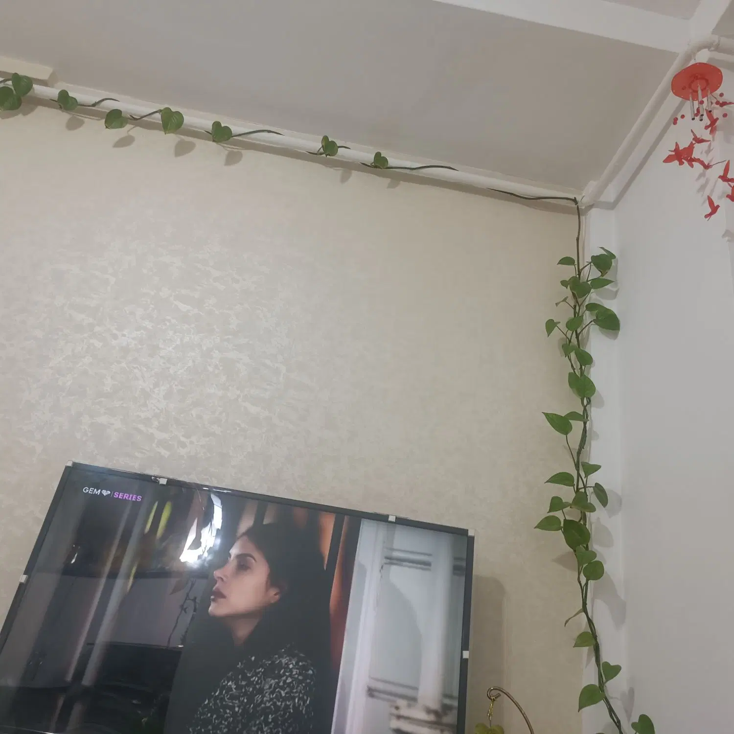 خانه ترمینال کوچه شهید جانسپار