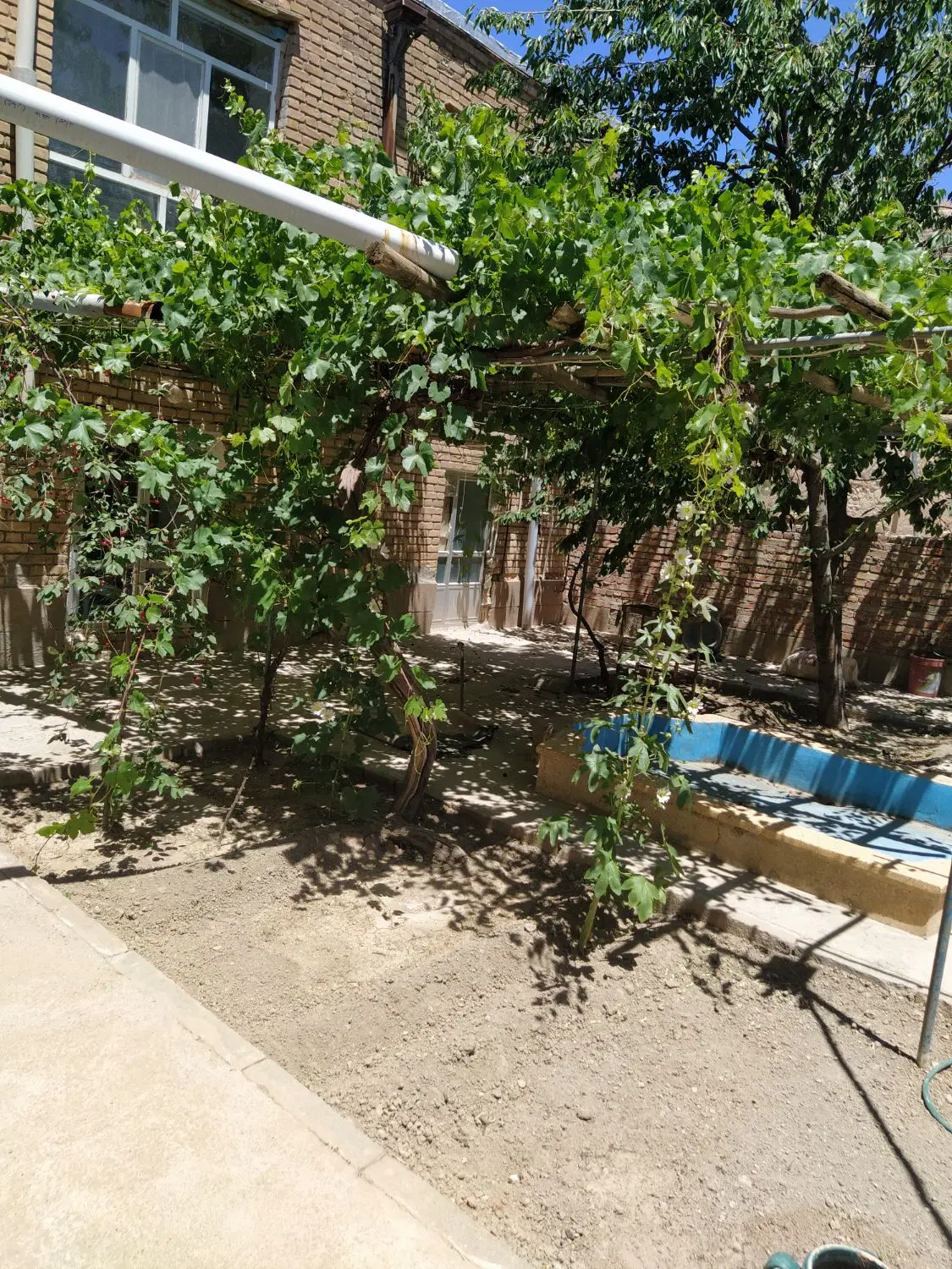 باغچه در خلجان