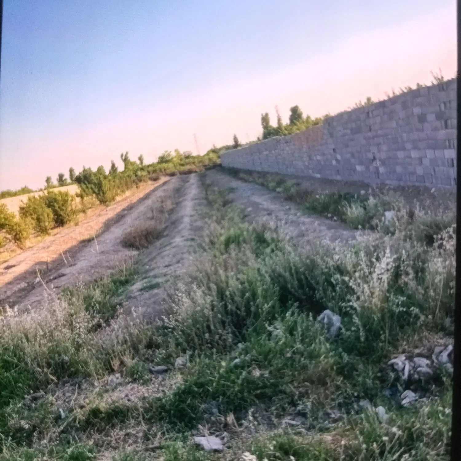 زمین باغی قیمت مناسب 1000متر
