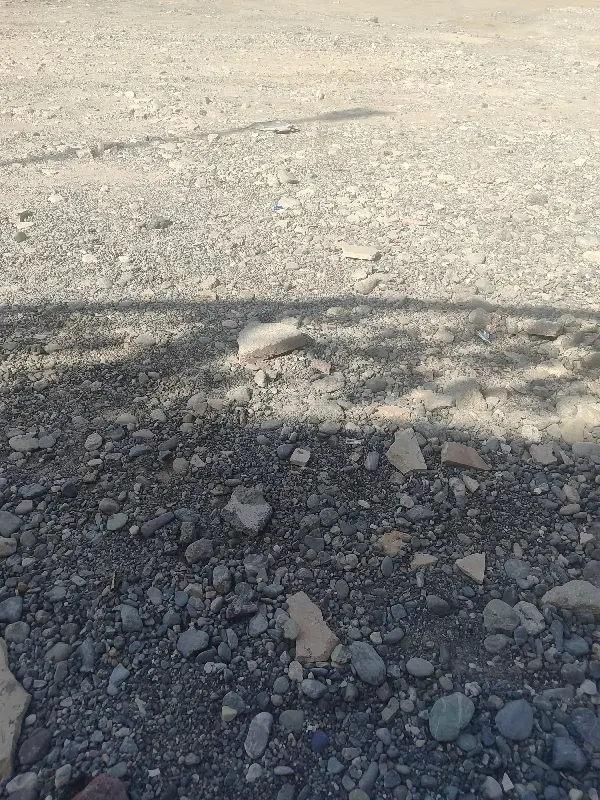 زمین مسکونی
