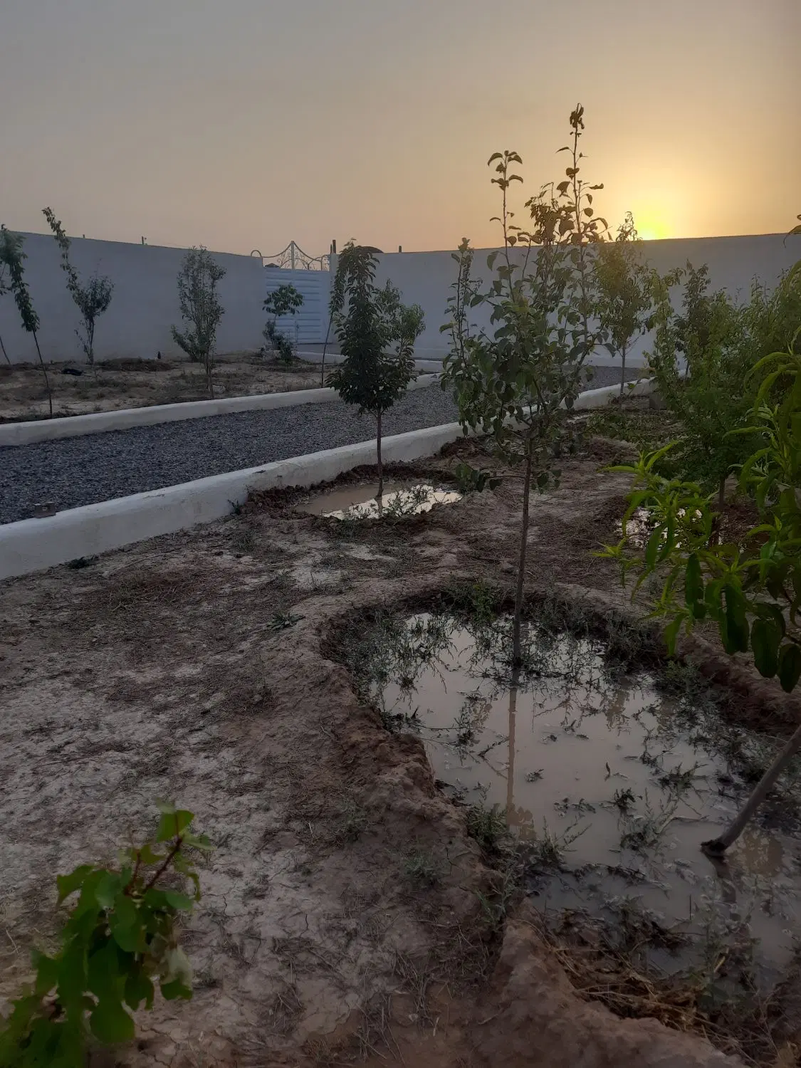 باغ ۵۰۰ متری روستا نجم