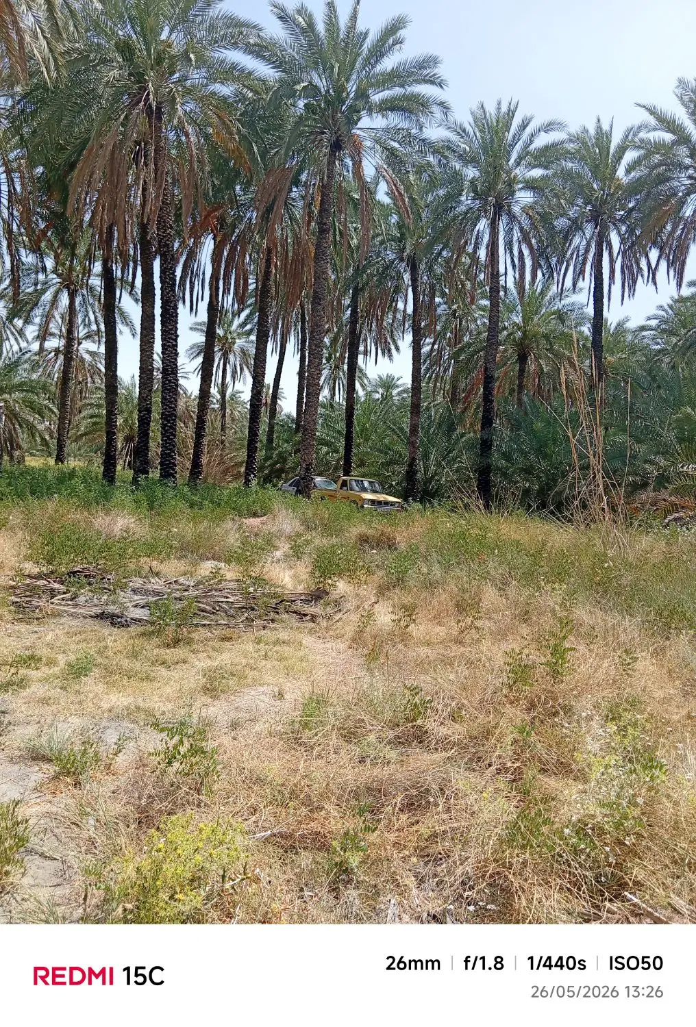 زمین کشاورزی