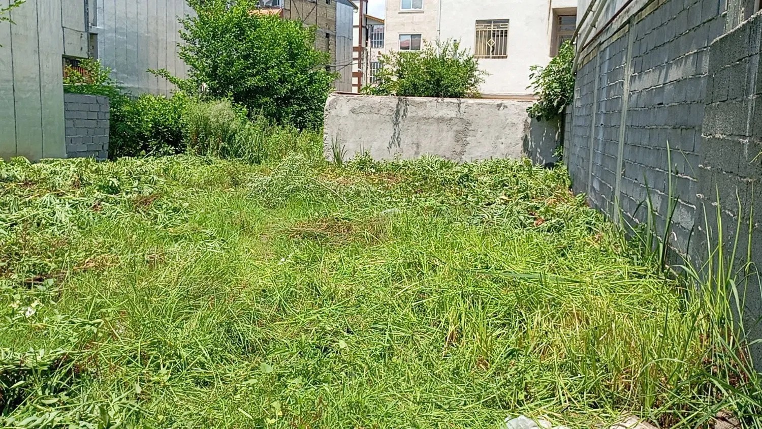فروش ۲۳۰ متر زمین  مسکونی در تالش