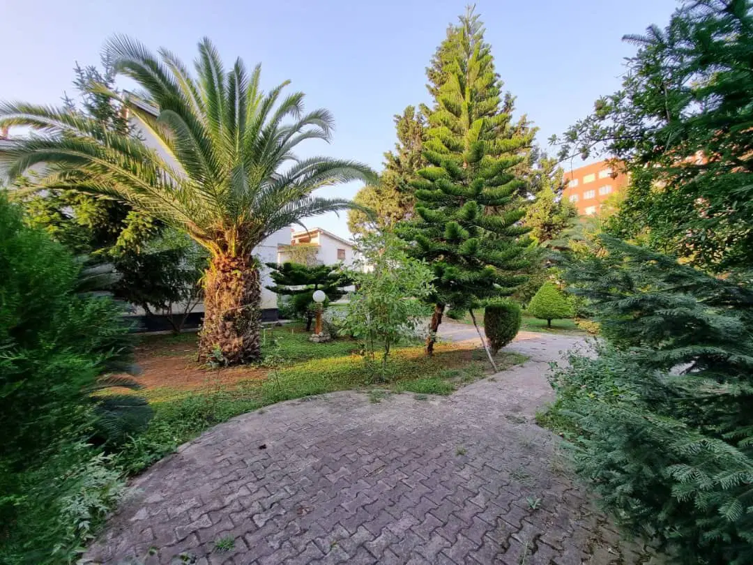 ۵۰۰۰ متر زمین با سند ۶ دانگ