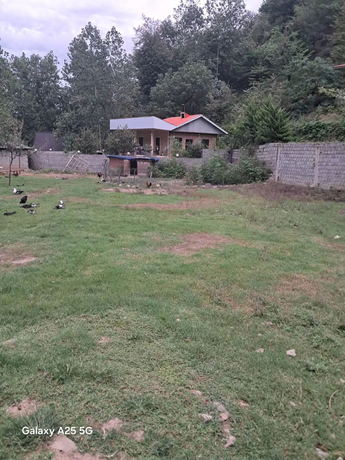زمین مسکونی