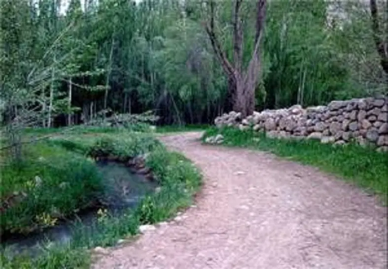1000 متر زمین سند دار جاده ونایی