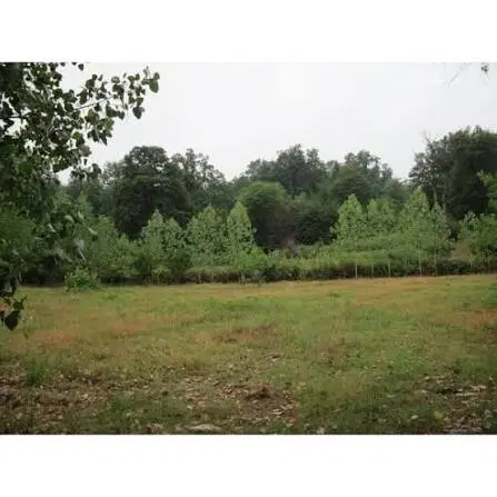 زمین مسکونی در گیلان