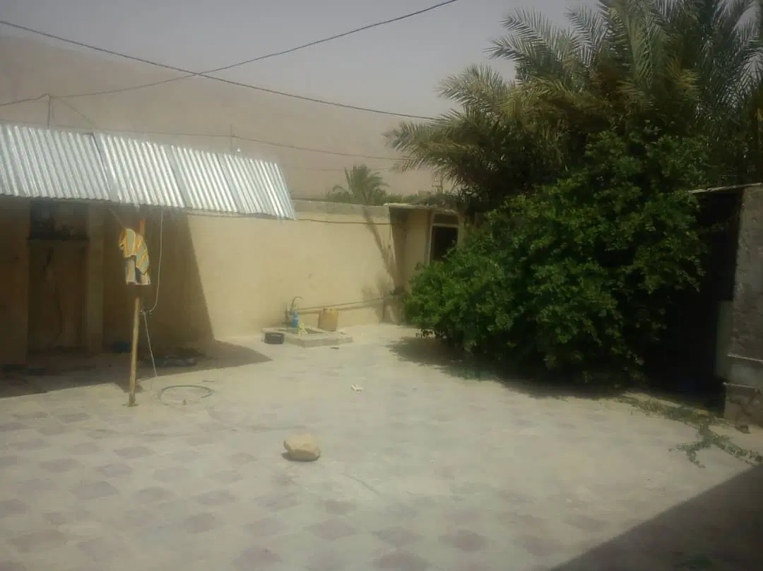 زمین 290متری