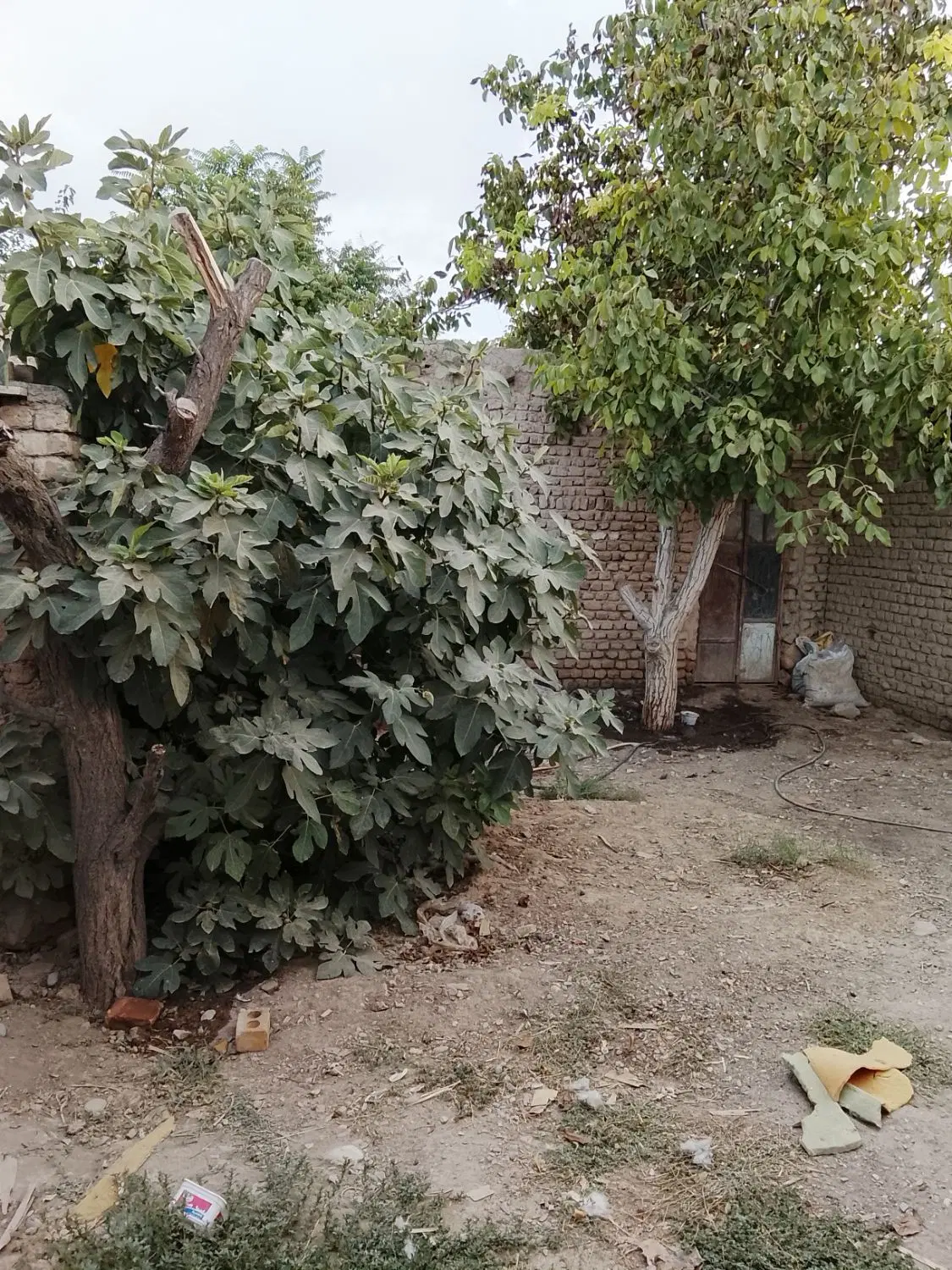 زمین و خانه کلنگی