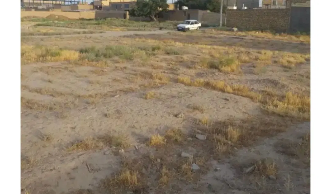 زمین شایه