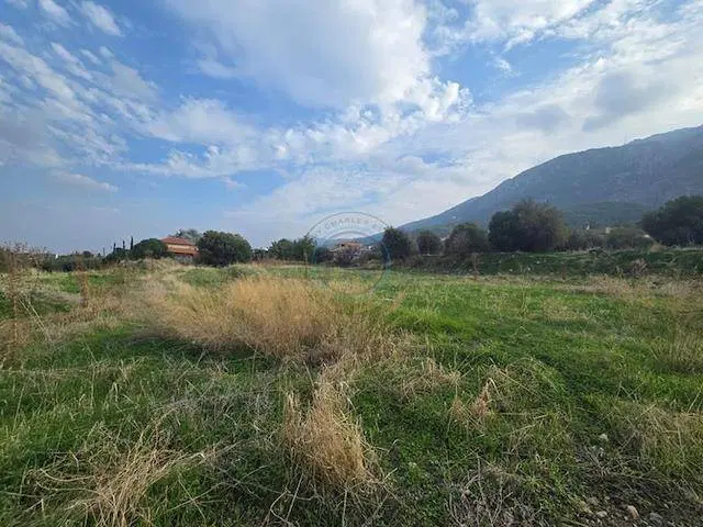 زمین مسکونی معاوضه