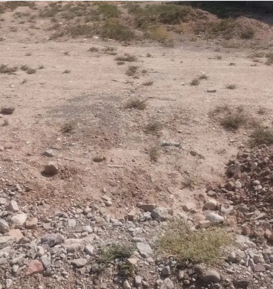 زمین شهرک غرب