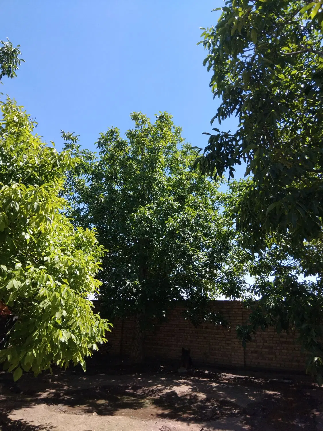حمید ابادزمین مسکونی