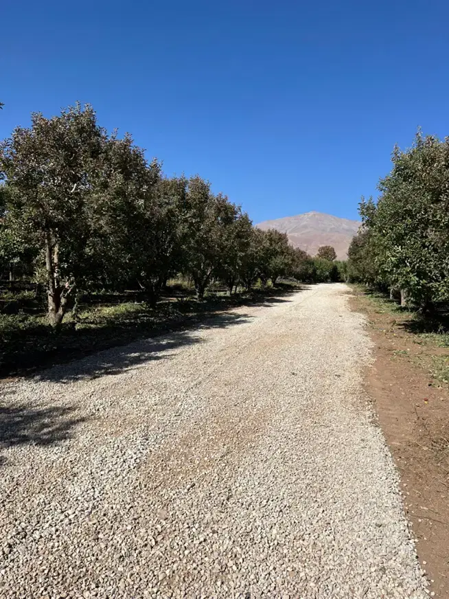 زمین دماوند ۲۶۰متر خوش قواره اقساط عالی