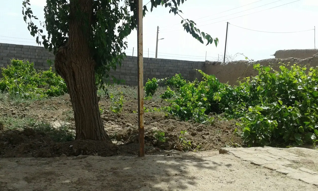 نزدیک به ۳۰۰۰ متر مسکونی ۴_۵ م سبزوار