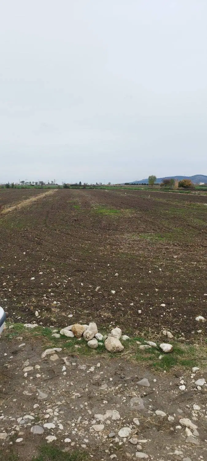 زمین کشاورزی
