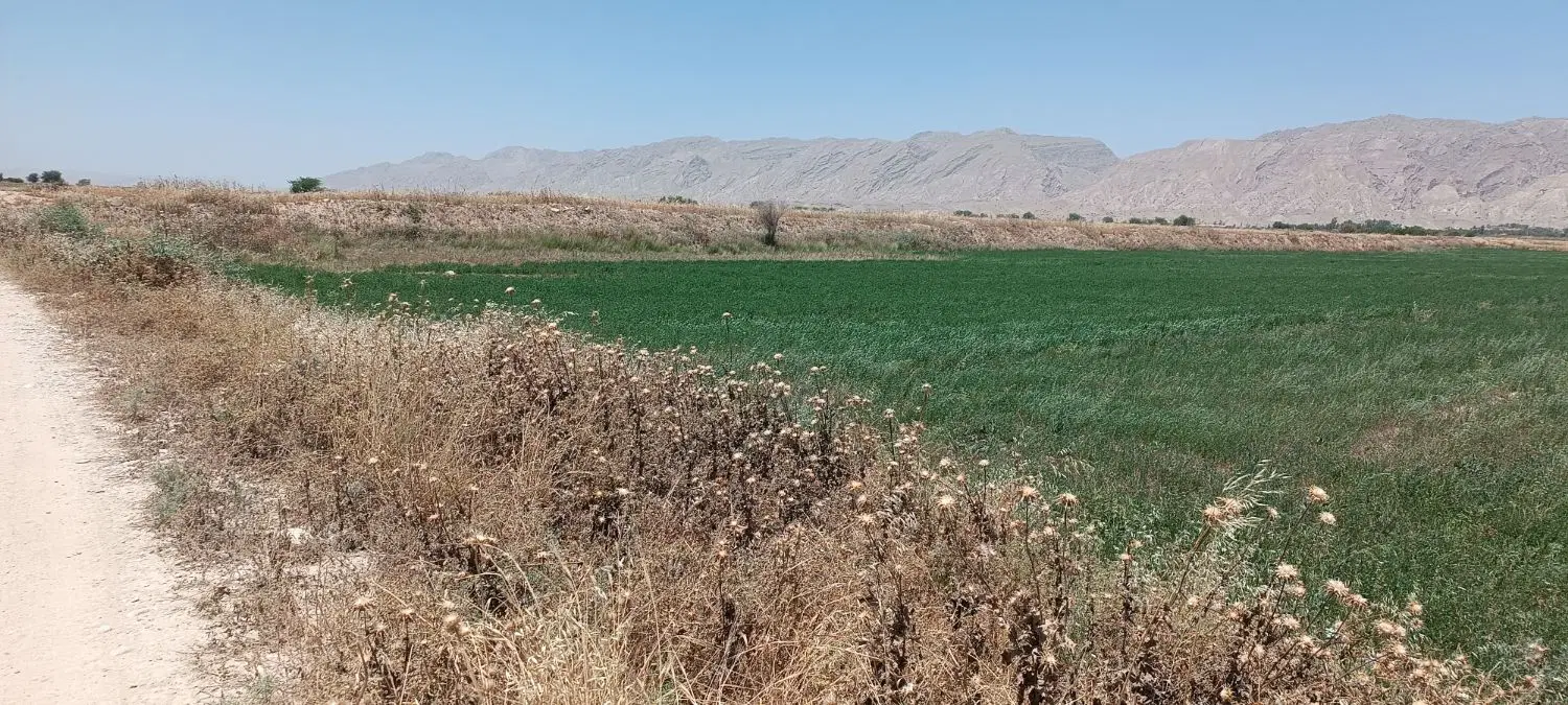 زمین
