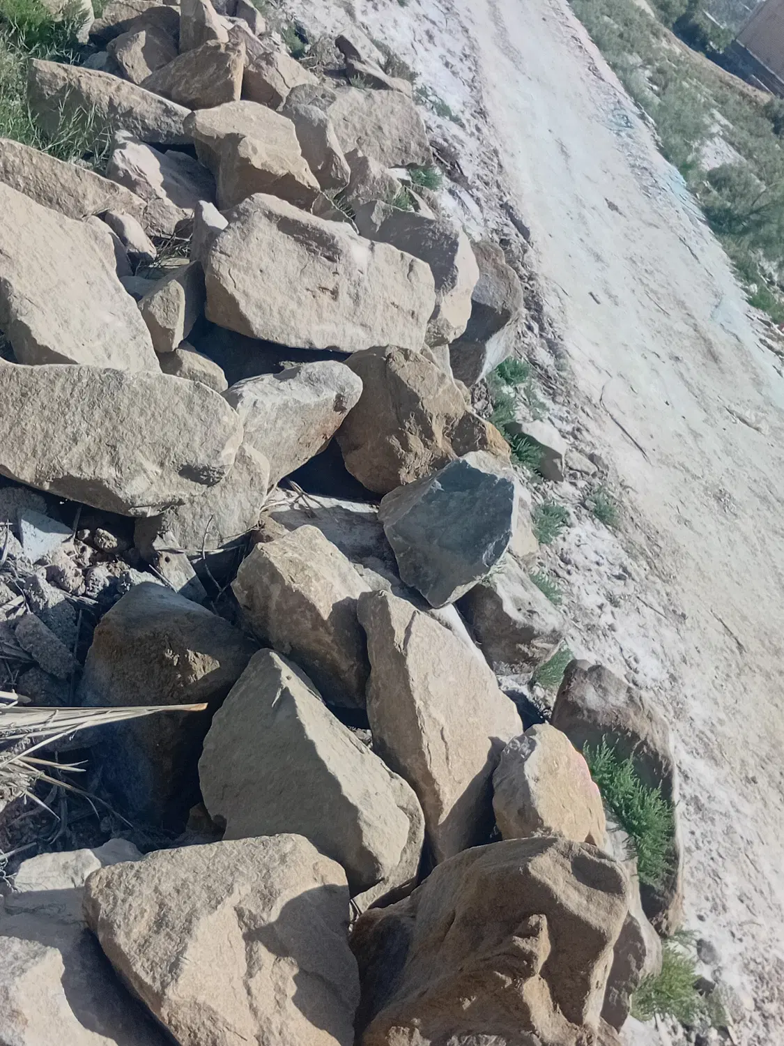 شادگان