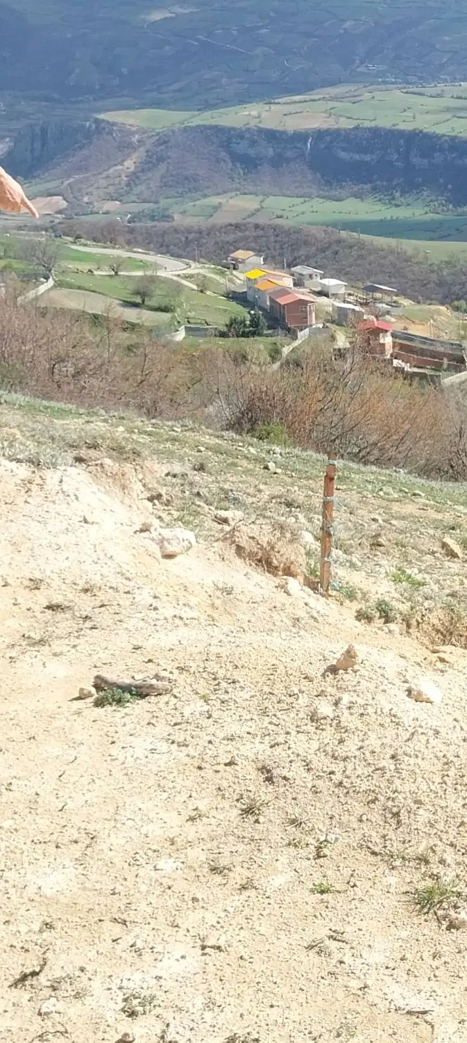 زمین