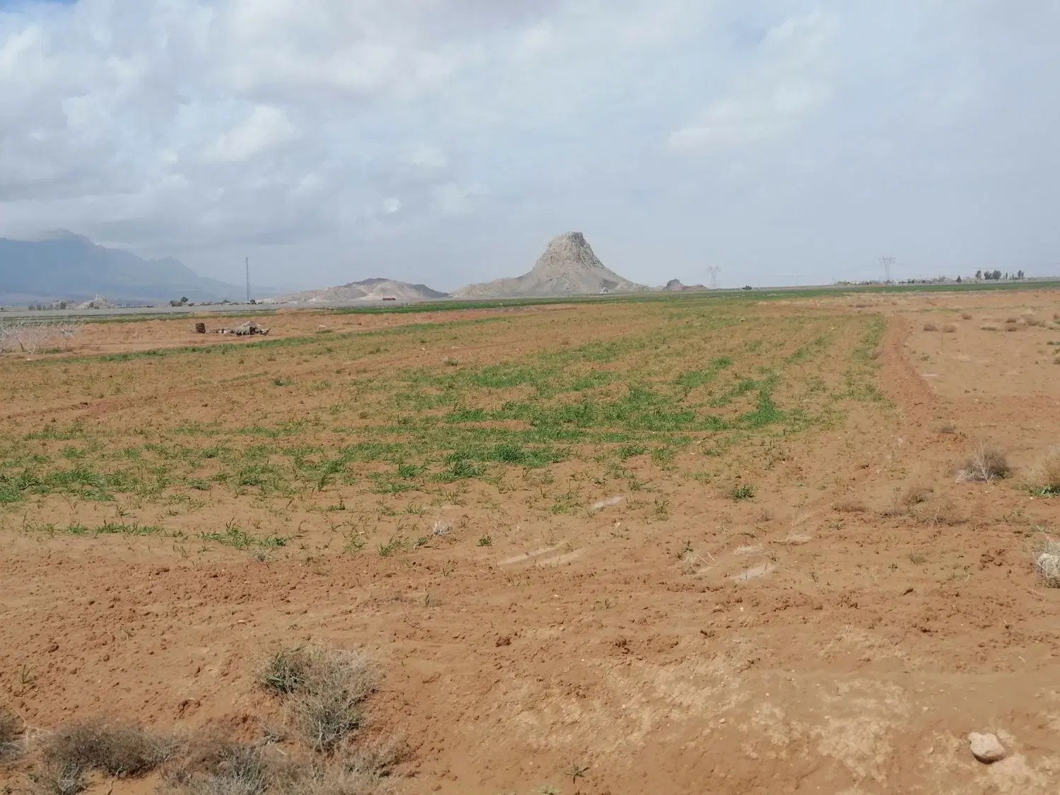 فروش زمین زراعی