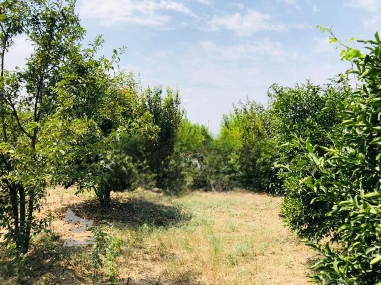 زمین مسکونی شاندیز