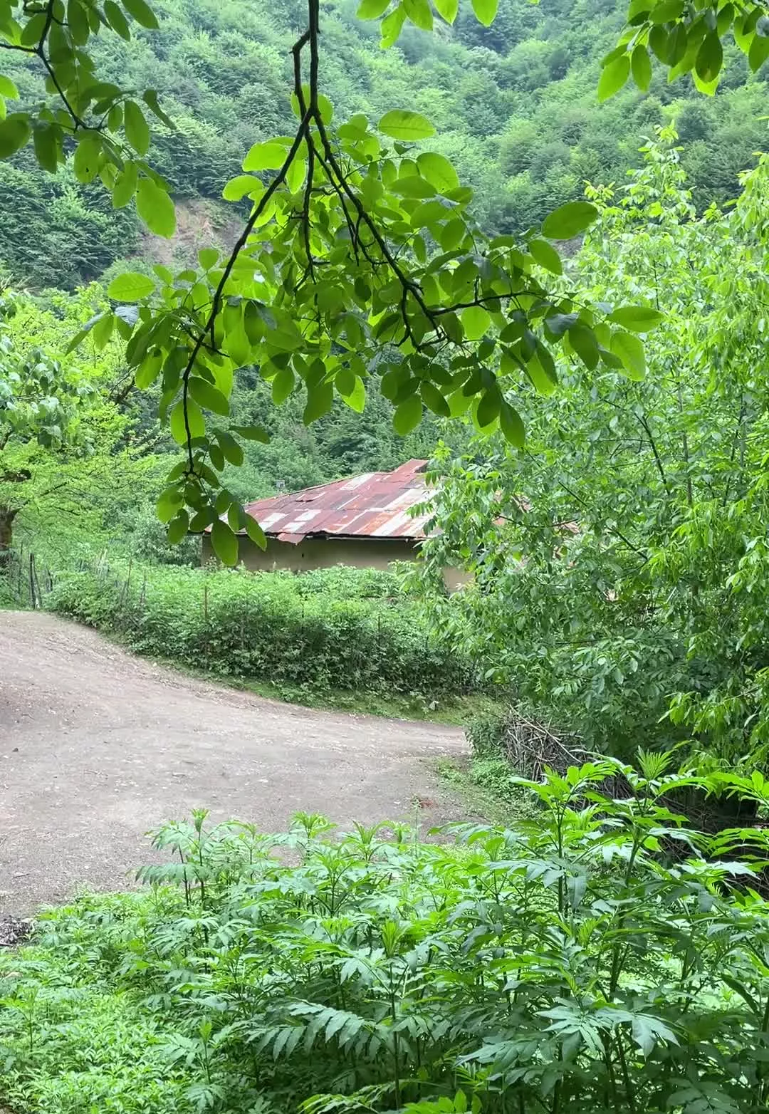 زمین کاسبی