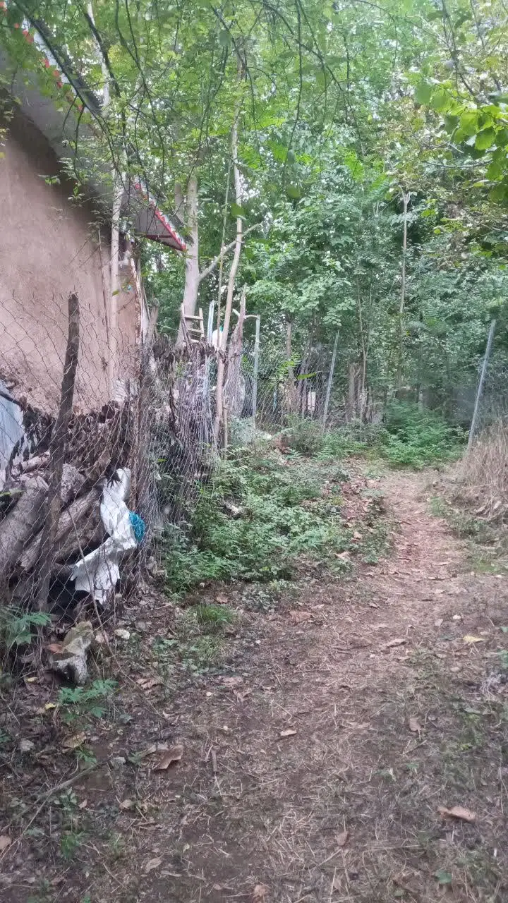 زمین مسکونی