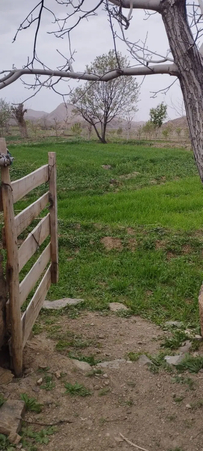 زمین روستای فرخک