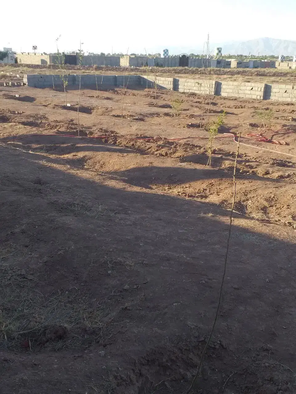 زمین‌باغی۵۰۰متری‌دارای دیوارکشی