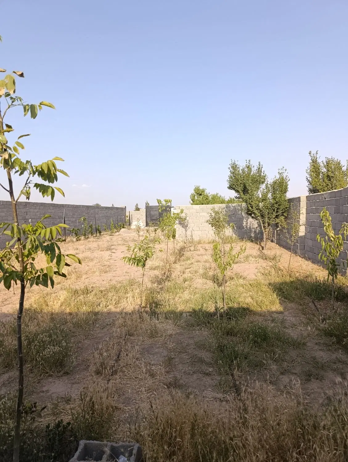 زمین اقبالیه