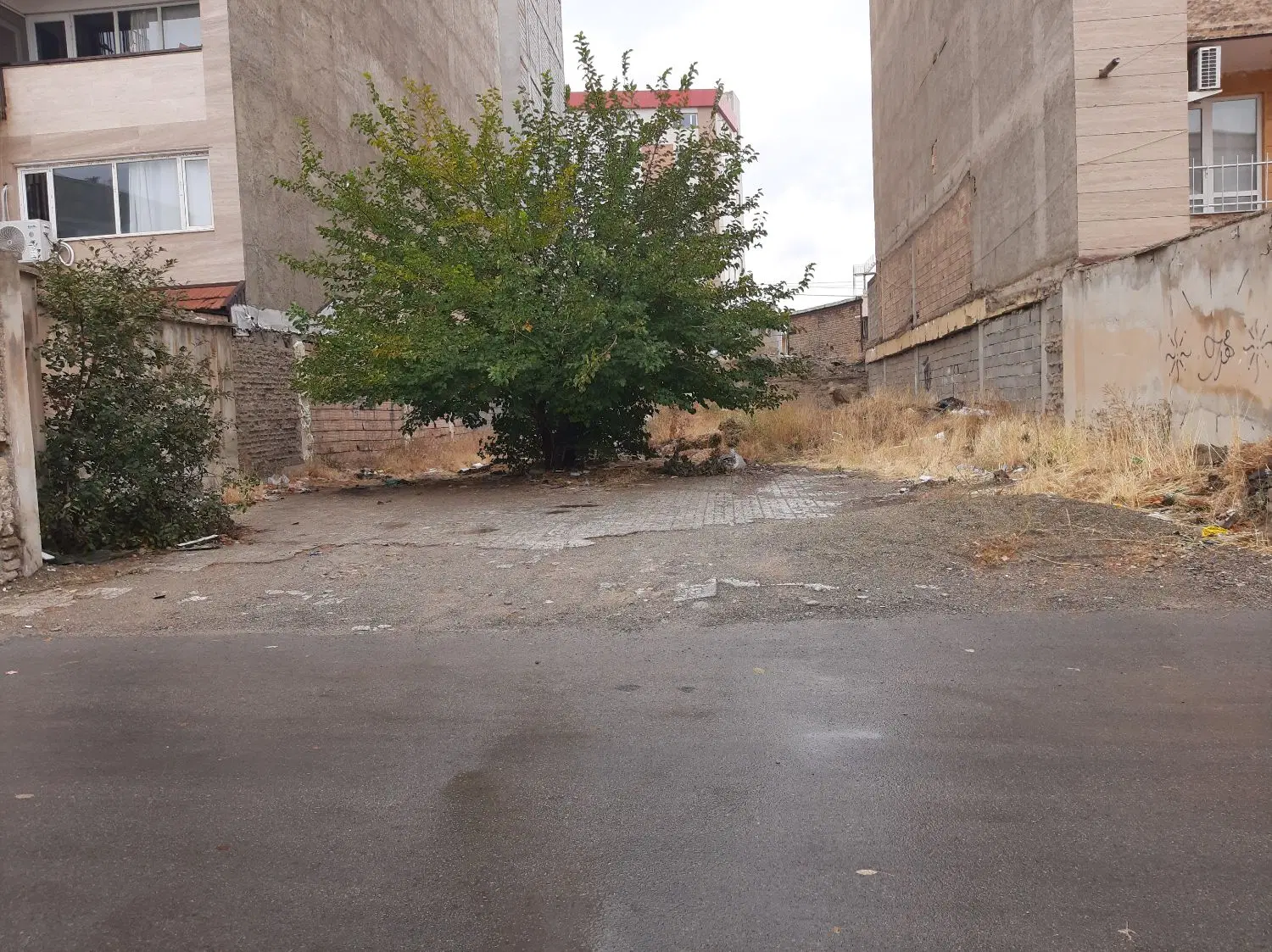 زمین مسکونی_بر امامت