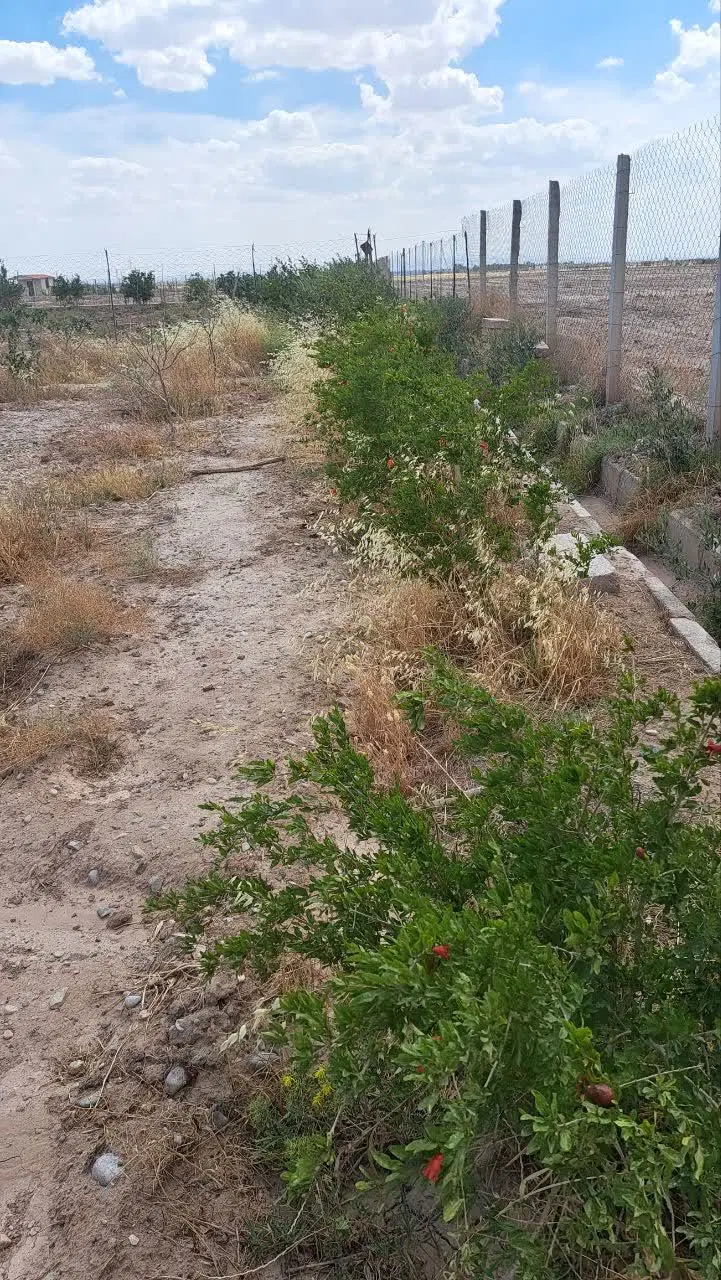 باغ نارهه بنه کوه سنددار