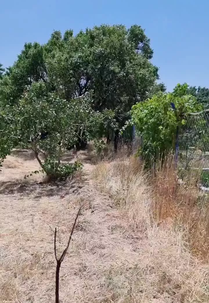 باغ ۹۰۰ متری دارای سند تک برگ معاوضه با خودرو