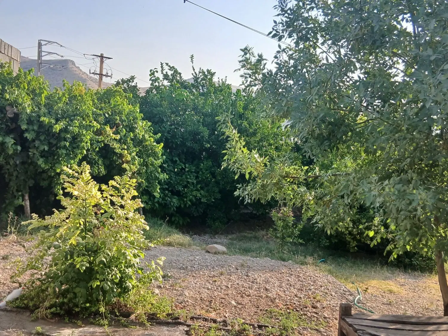 خونه باغ