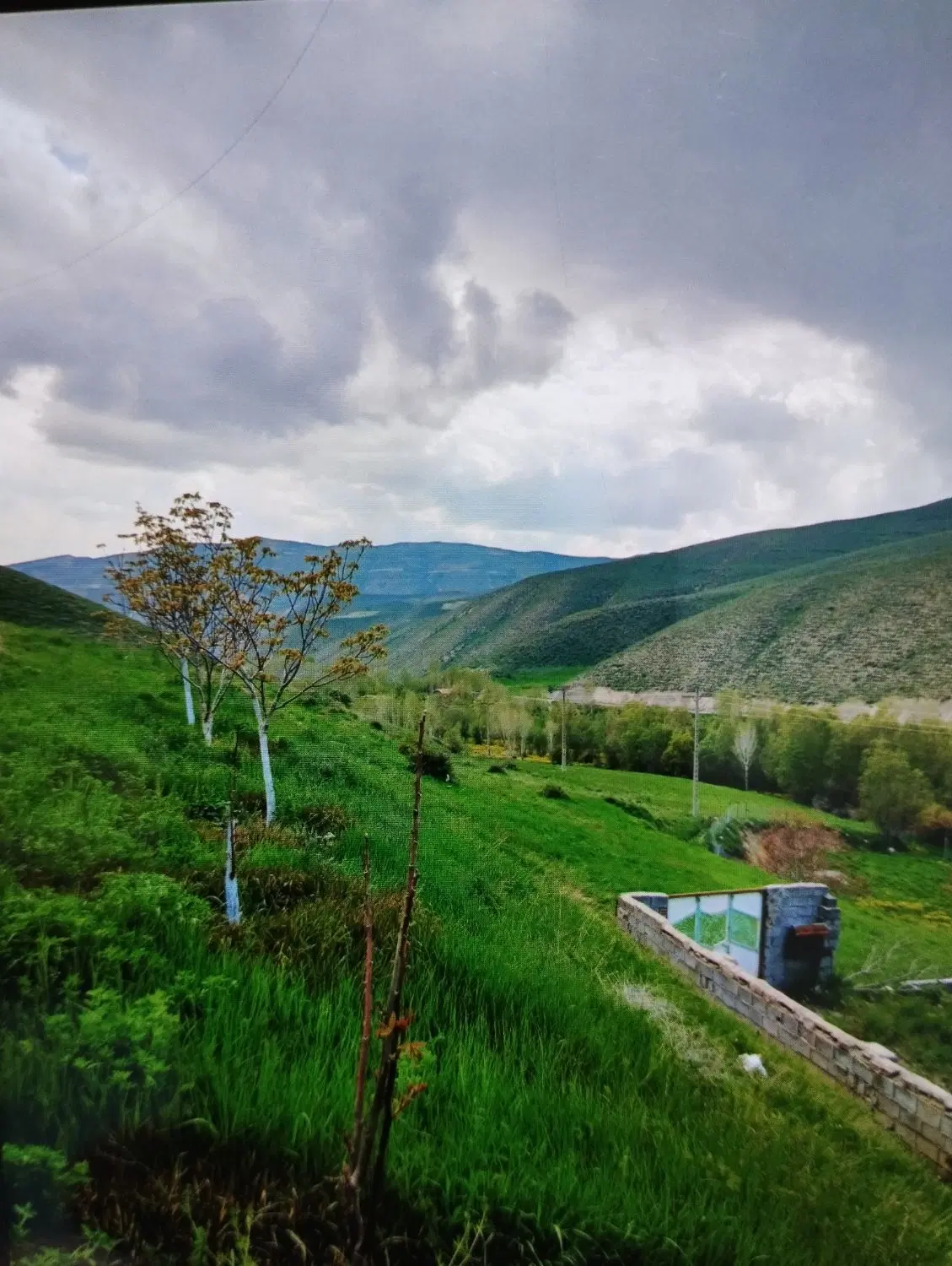باغ در کمانج علیا