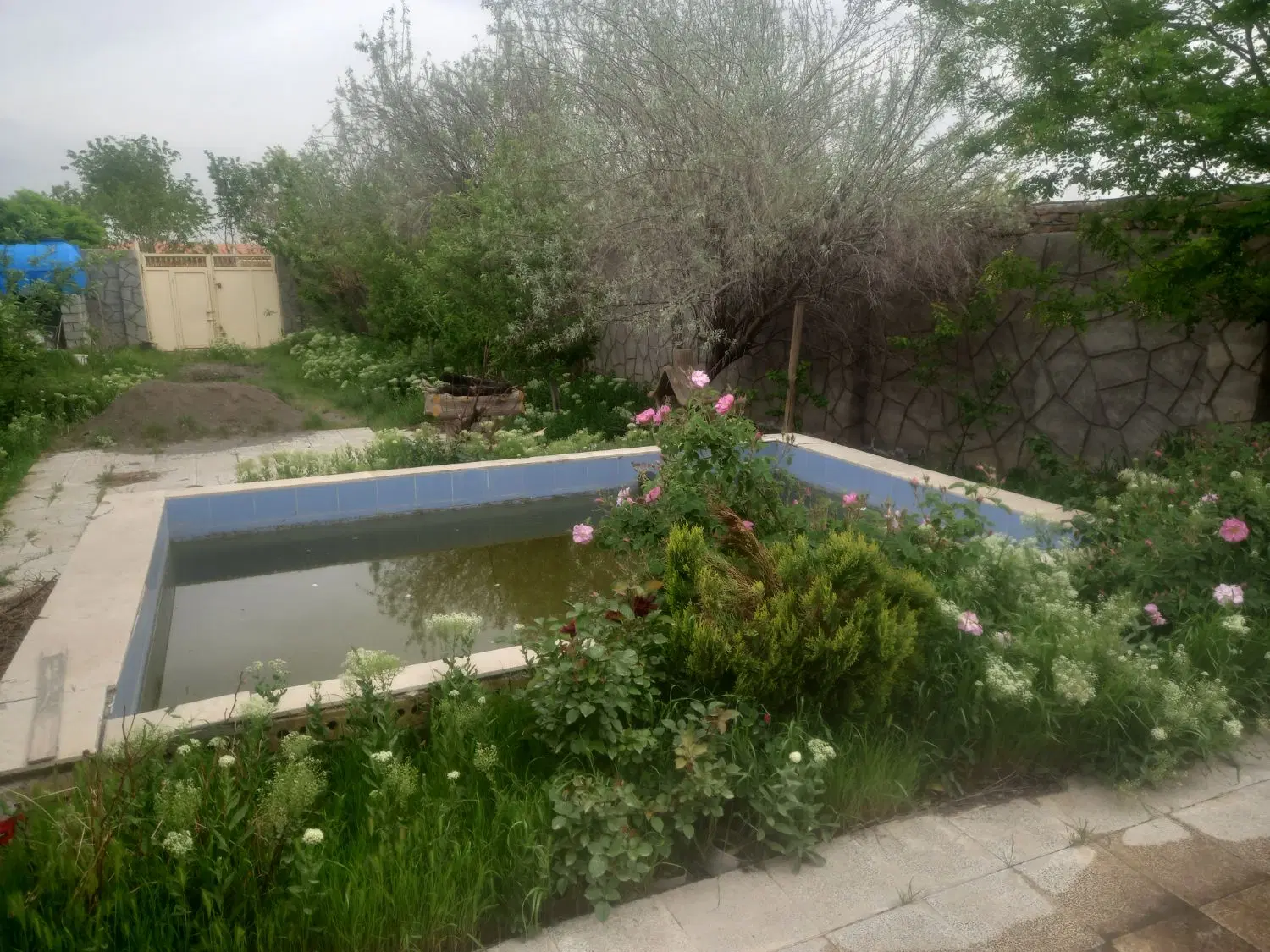 فروش باغ ۴۰۰ متری