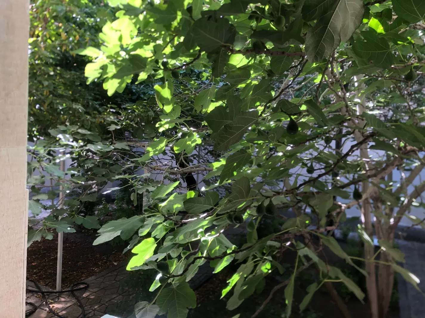خانه ویلایی ۲_۵ طبقه پردیس