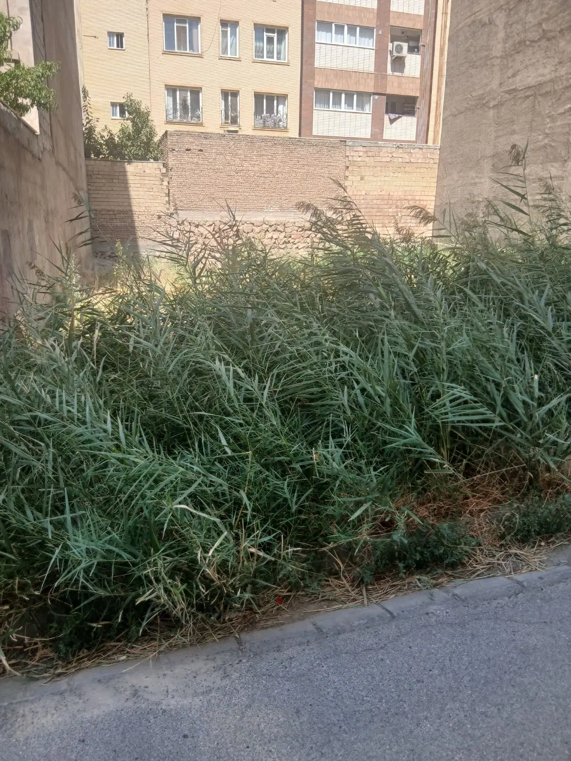 فروش یک قطعه زمین شمالی