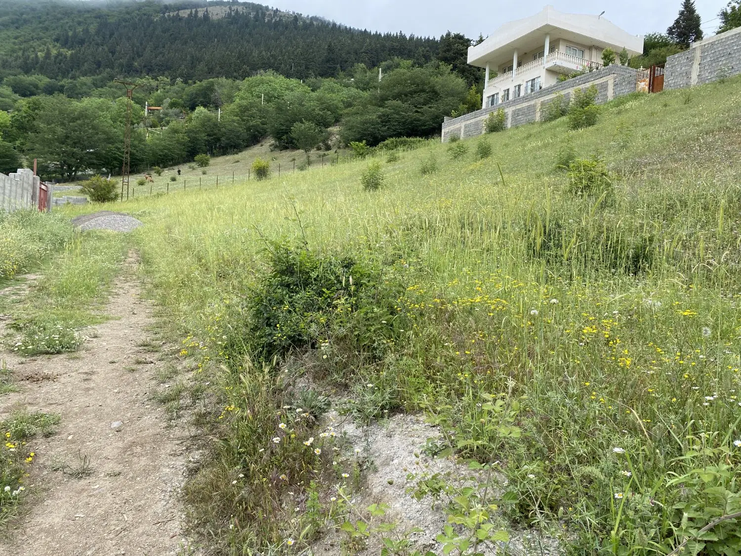 زمین مسکونی سند دار