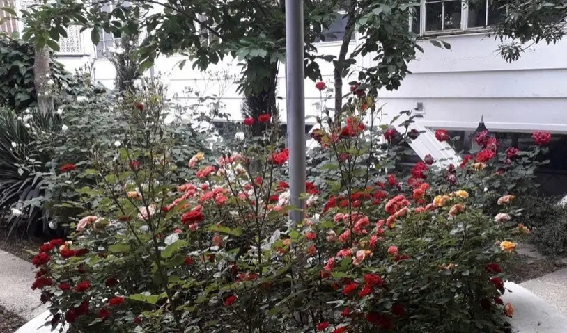 آپارتمان ۱۶۲متری اداری مسکونی _فرشته _سرمایه گذاری