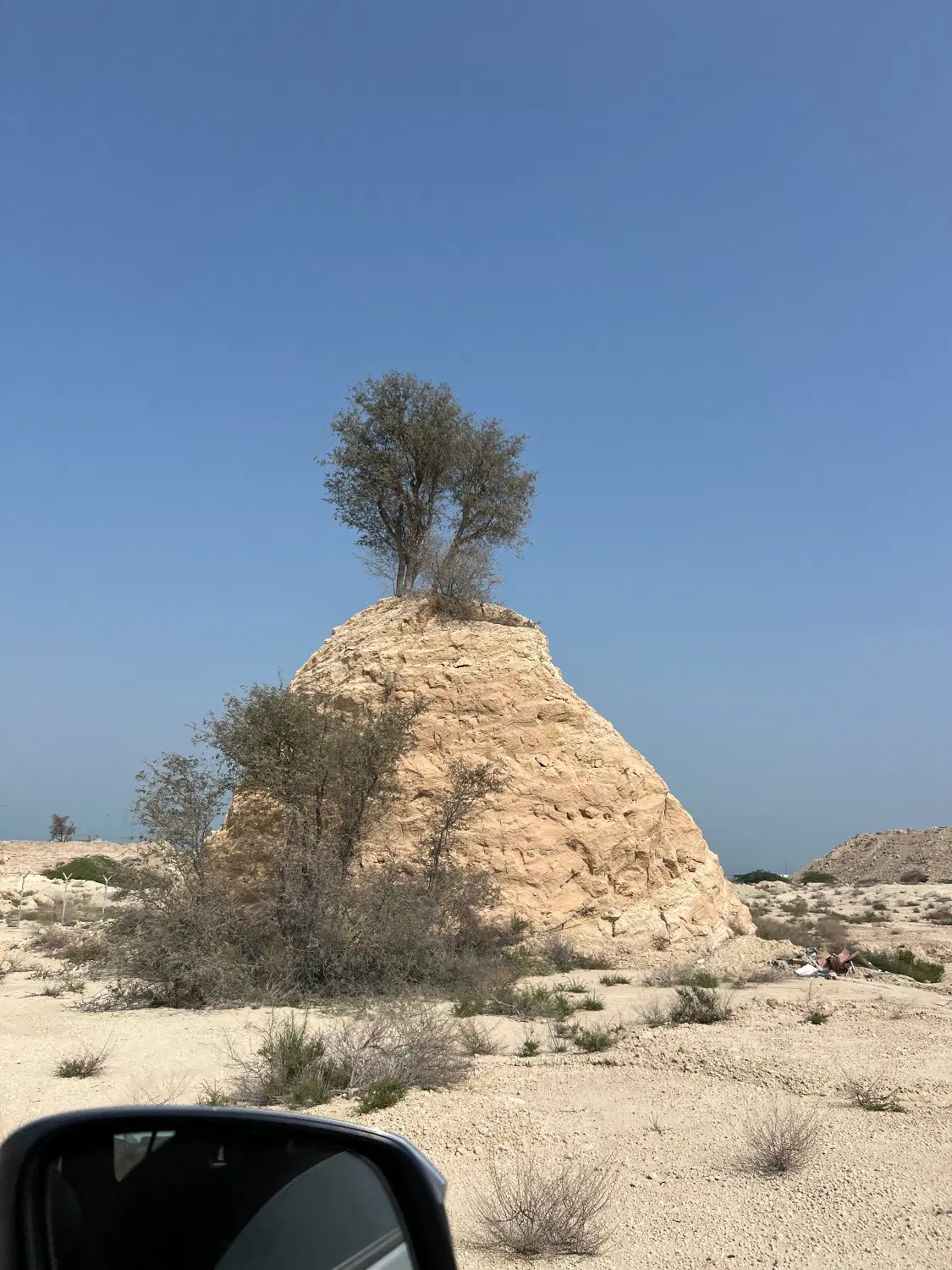 فروش زمین