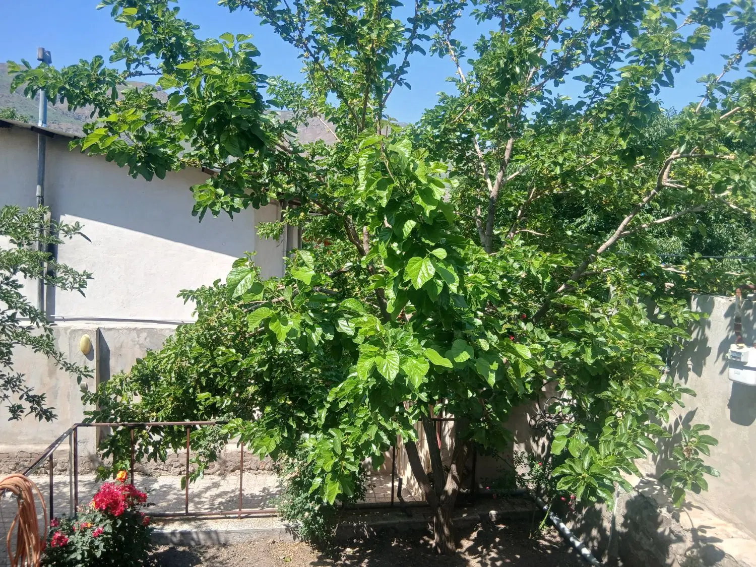 اجاره سوییت در الموت